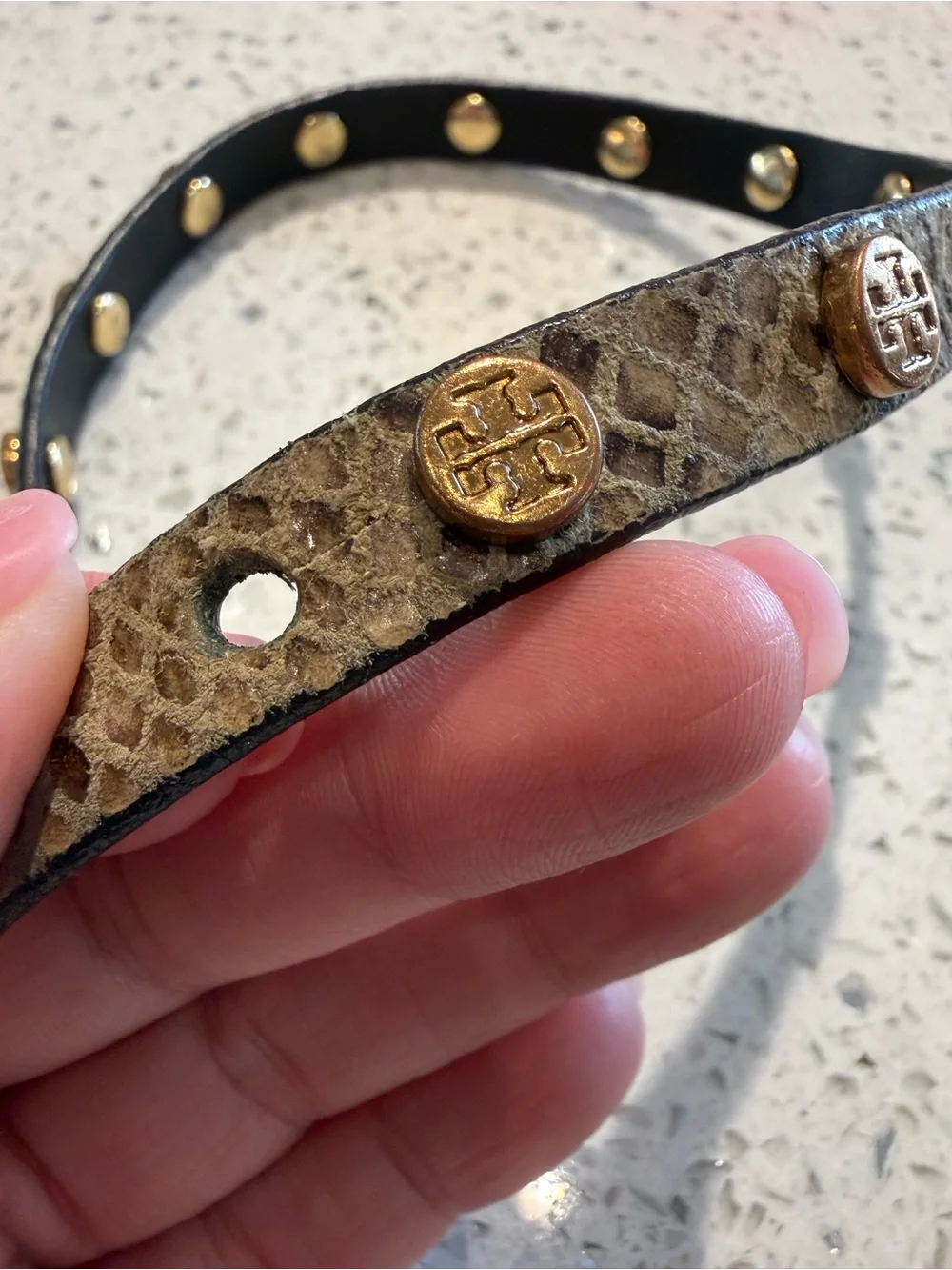 Tory Burch Gold-Accent Snake Print Wrap Bracelet GUC